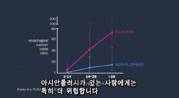 술 마시면 절대 안 되는 사람 특징