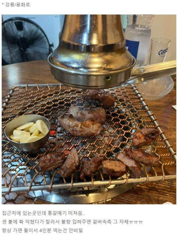 내돈내산 강원도 맛집 모음