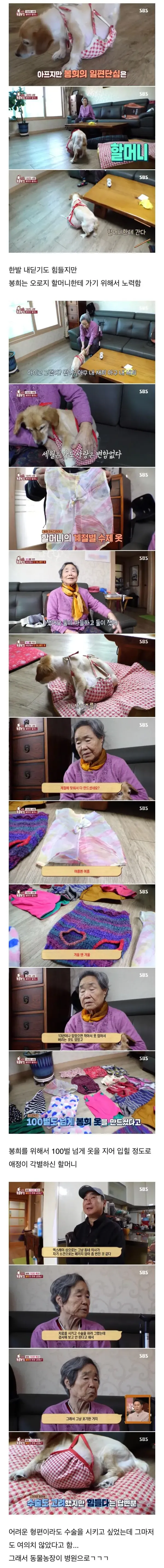 80대 할머님을 울게 만든 동물농장 제작진들